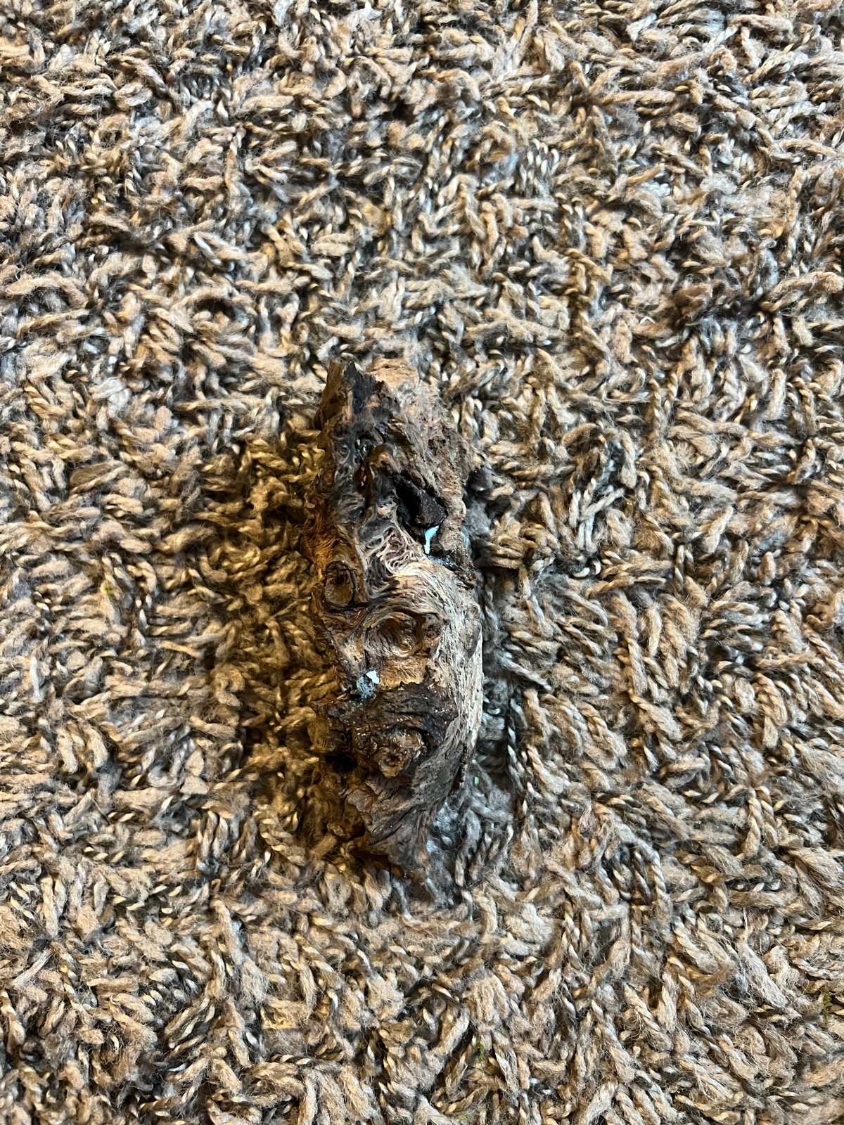 Drift wood