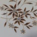 Lenox Starlight Small Floral Plates Set of 4 Appetizer Tidbits Dessert Gold Rim