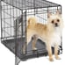 MidWest Homes for Pets Newly Enhanced Single & Double Door iCrate Dog Crate, Inc
