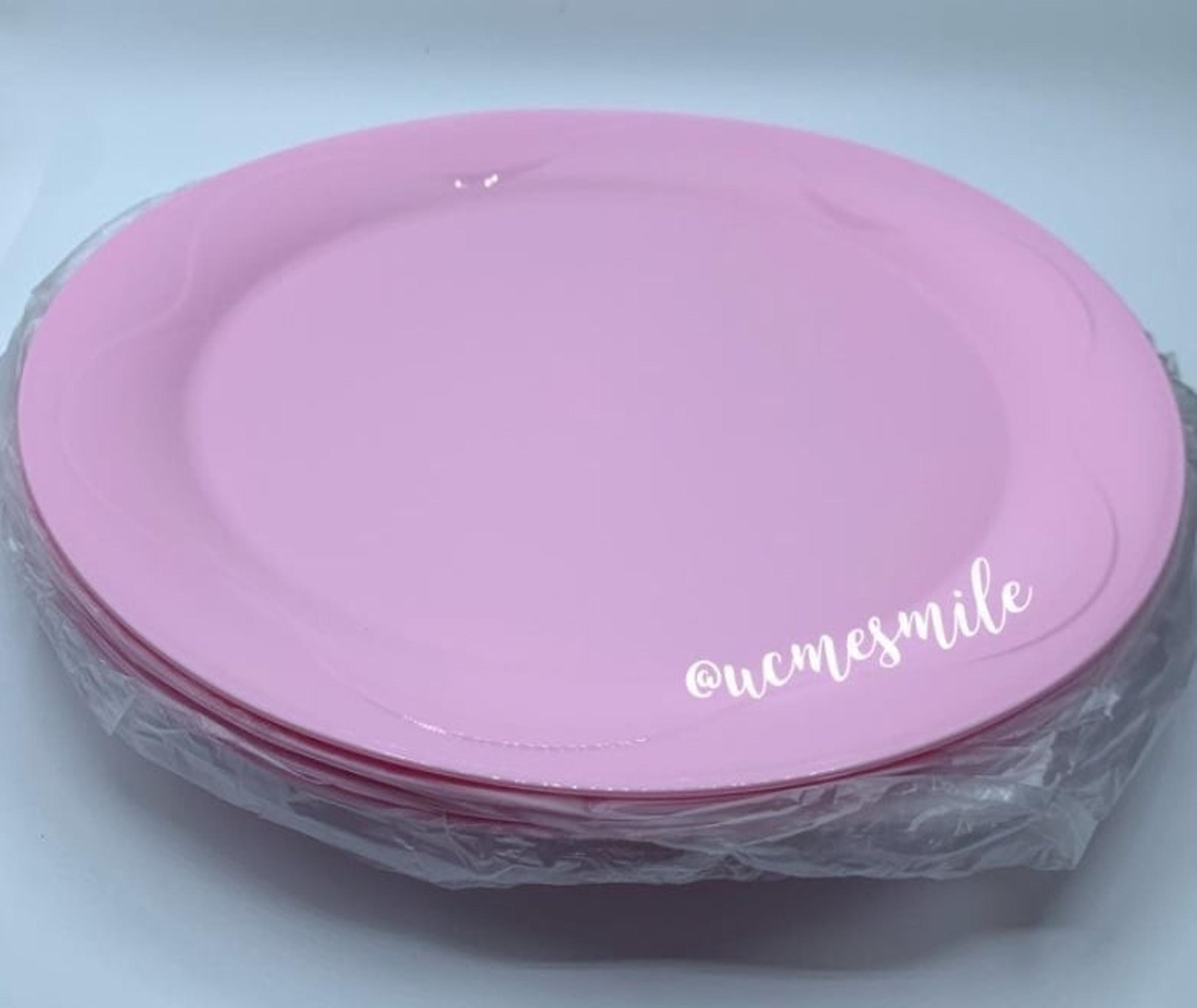 Open House Dinner Pink Plates - Tupperware