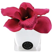 Herve Gambs Fuchsia Color Couture Orchid Silk Flower In White Small Glass Cube