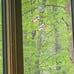 Geometric Window Hummingbird Feeder | Sweet Feeders | Geo Feeder | Copper