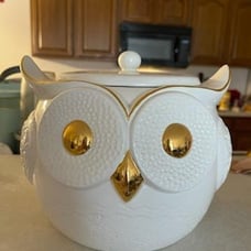 Owl Head Jar for the Kitchen
