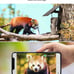4G LTE Cellular Trail Cameras 2 Pack, 3rd Gen Solar Game Camera with Live-Stream