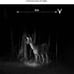 4G LTE Cellular Trail Cameras 2 Pack, 3rd Gen Solar Game Camera with Live-Stream