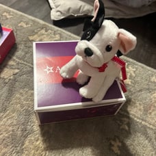 New inbox, American girl grace’s bulldog french