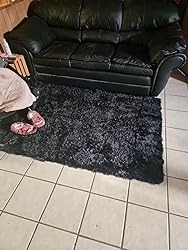 4 x 6 Feet Shag Area Rug for Living Room, Modern Indoor Carpet