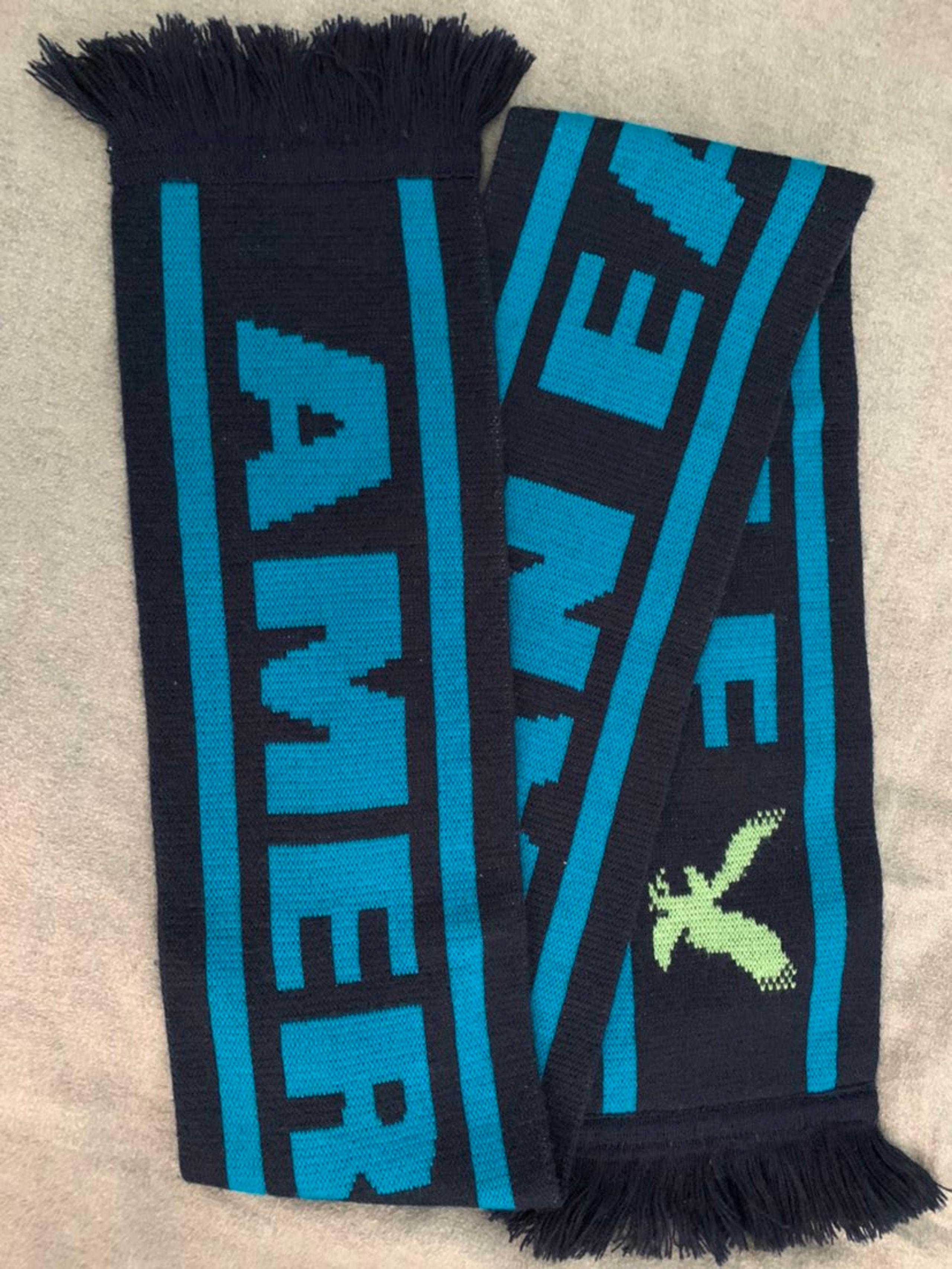 American Eagle winter scarf