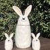 10 Strawberry Street Bunny Canister bundle