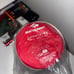 Supreme sea to summit Inflatable sleeping mat