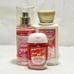 Bath & Body Works Winter Candy Apple Travel Size Set & Santa Gnome Cosmetic Bag