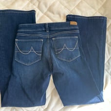 Ariat Perfect Rise Flare 26S