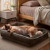 Extra Large Bolstered Designed Dog Bed