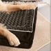 Extra Large Bolstered Designed Dog Bed