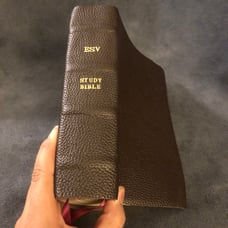 Esv study Bible Personal size Genuine leather never used no markings
