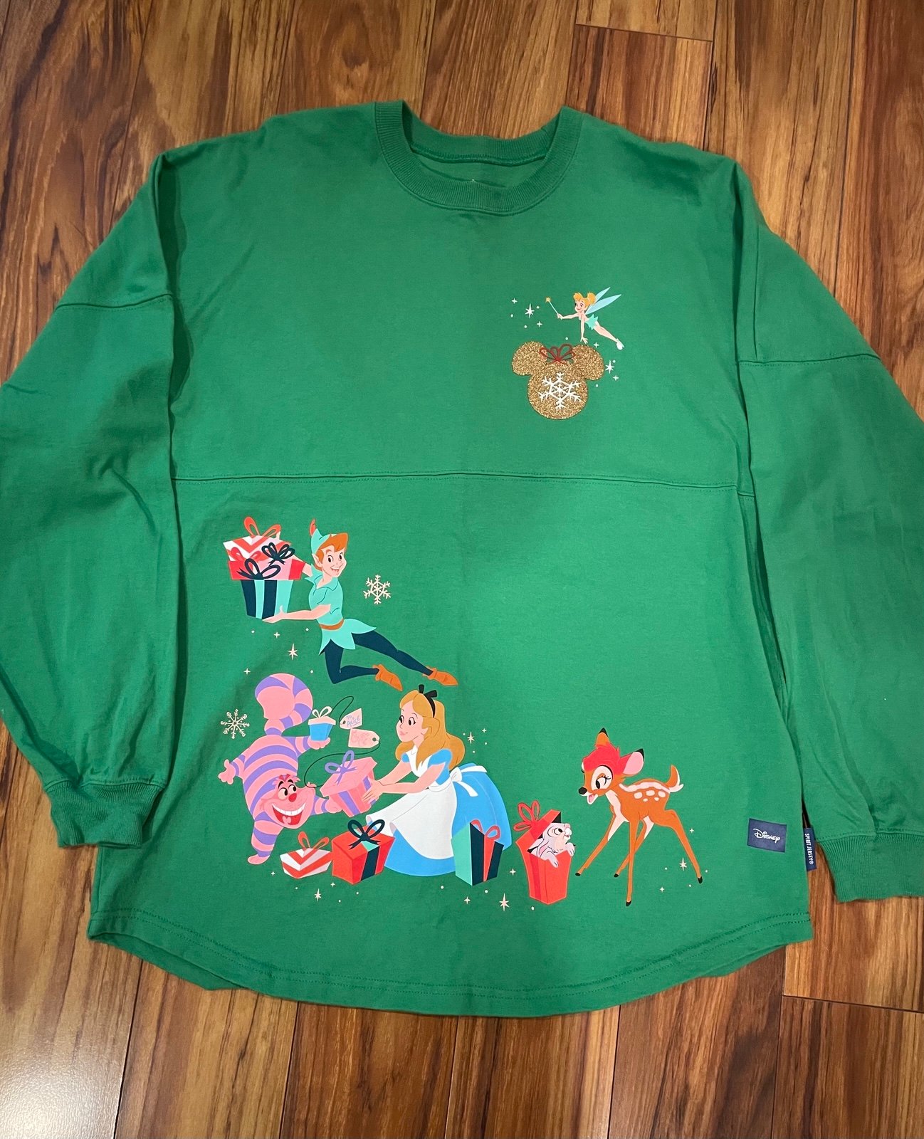 Disney Spirit Jersey