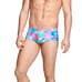 Swim brief