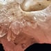 Large Crystal Quartz Votive Holder