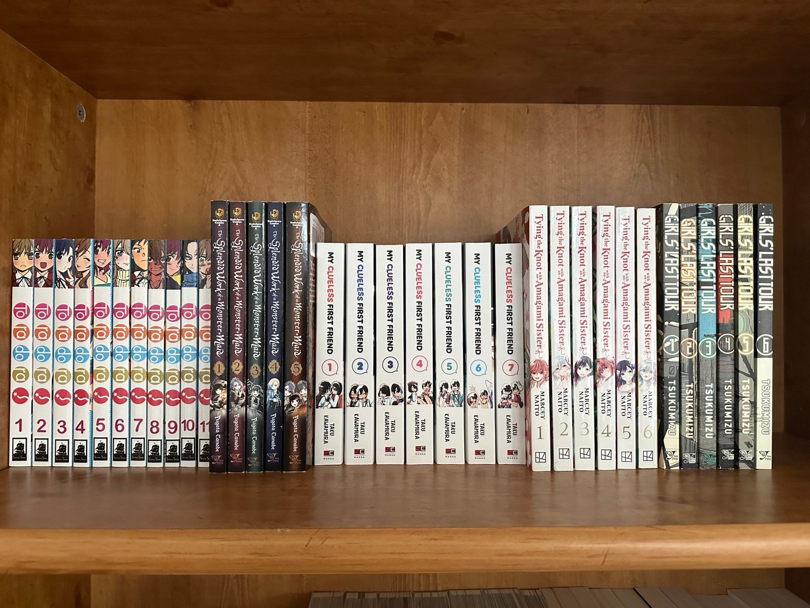 Manga and Light Novel Lot!