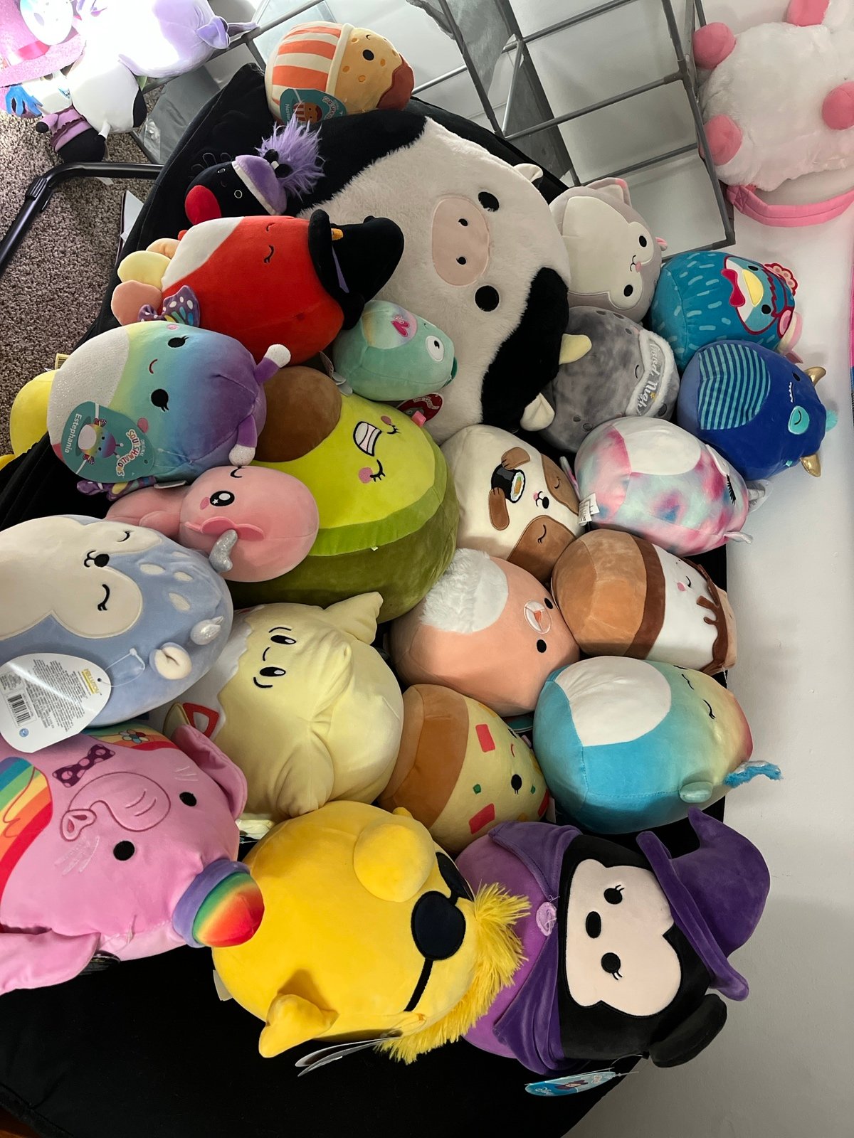Squishmallows lot