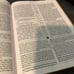The word for today Bible Chuck Smith Calvary Chapel Genuine Cowhide Leather