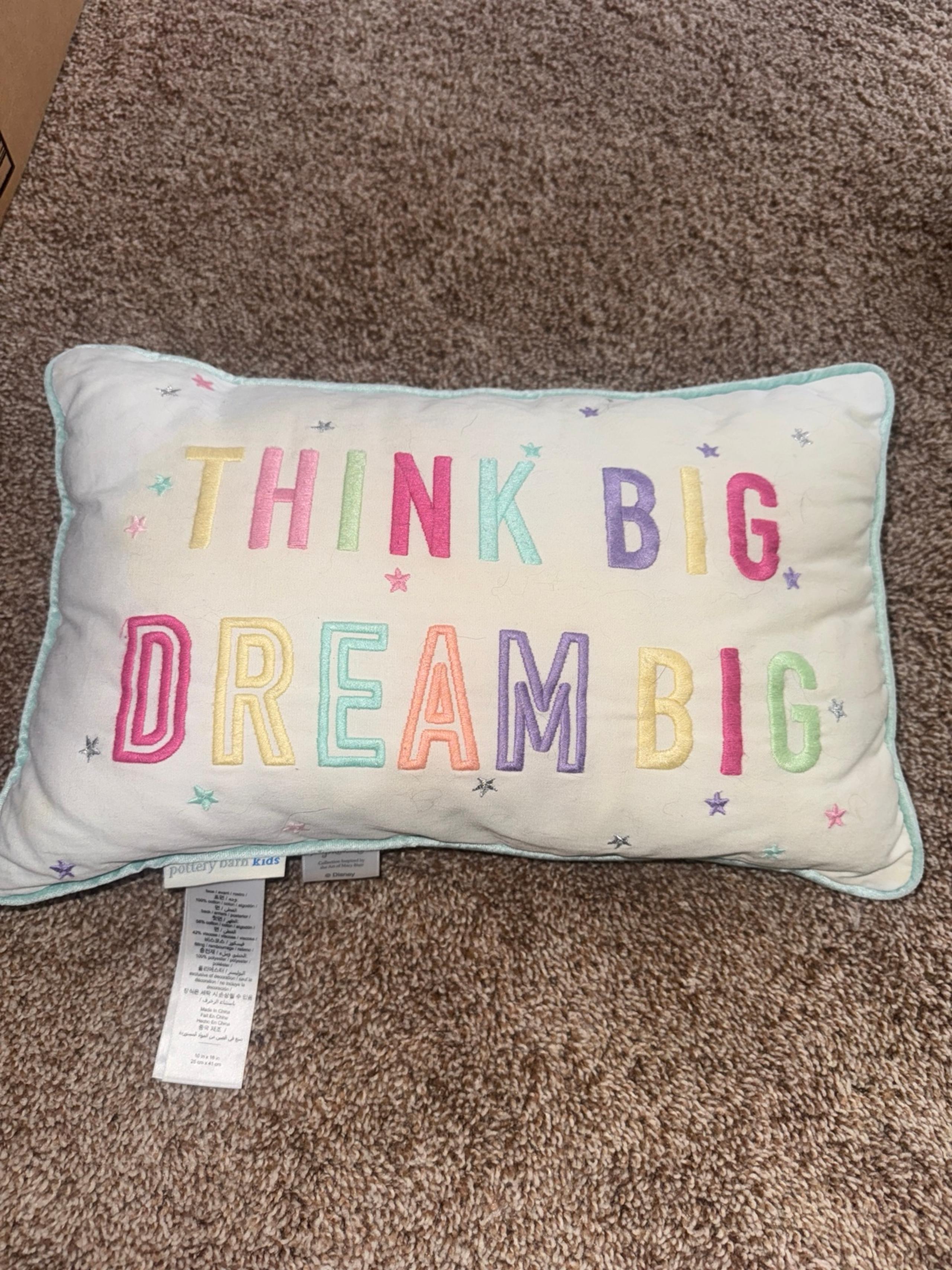 Pottery barn kids princess throw pillow
