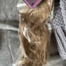 hair extensions
