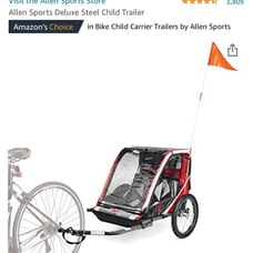 Allen sports child trailer