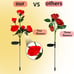 Solar Garden Llights - Flowers Roses Lights Outdoor Garden Decorative, 20 Roses