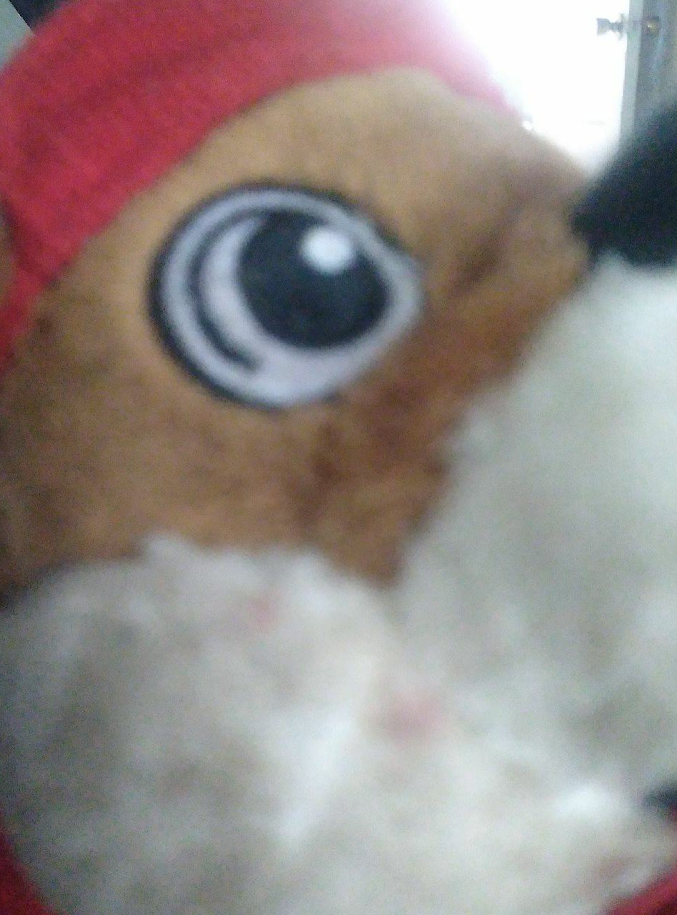 BUCEES PLUSH