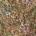 New Vintage Nolita Brown Leopard Print Sequin Halter Top Size M