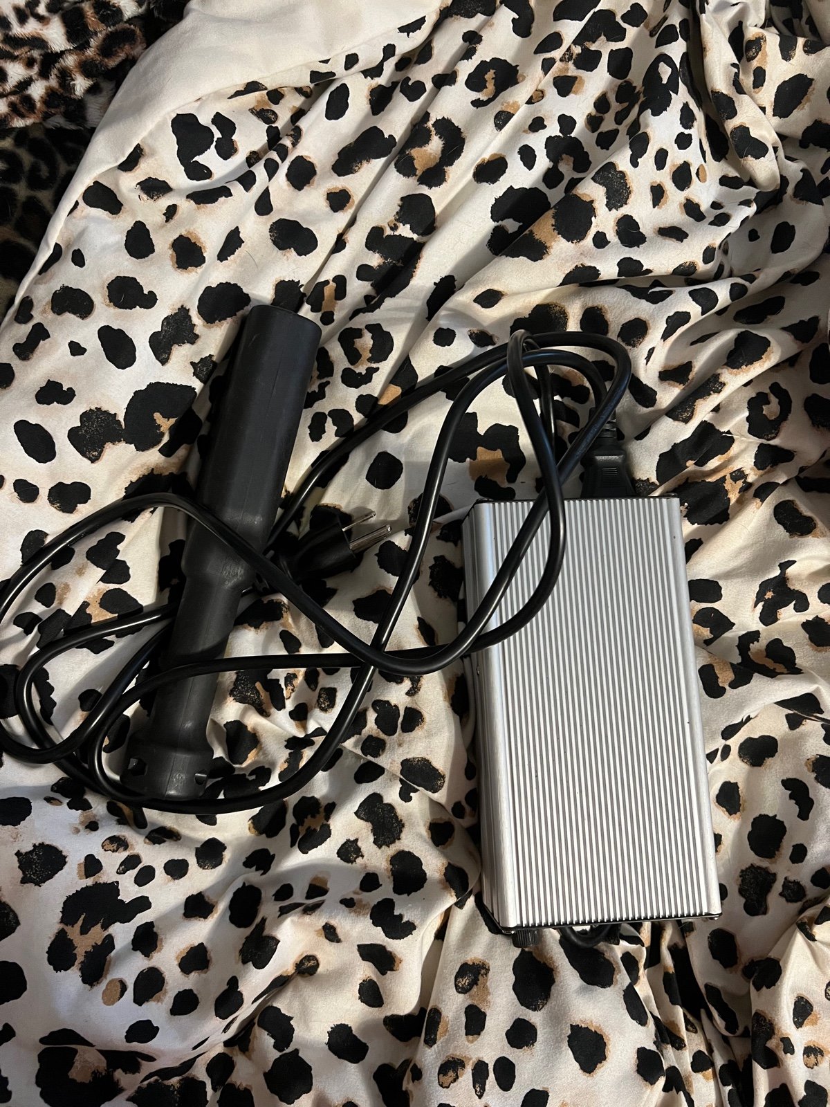 Golf cart battery charger