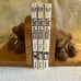 Love in Focus Volumes 1-3