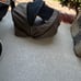 Cybex Priam 2018/2019 stroller