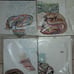 Cross-stitch/Craft Lot of (17)