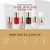 Senegence Limited Edition Nail Color (Set of 6)
