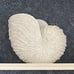 Replica Beach Themed Ocean Decor for Home
