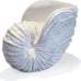 Replica Beach Themed Ocean Decor for Home