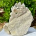 2.5+lb Diamantina Quartz Crystal Cluster Large Statement Piece Rare Brazilian DT