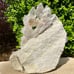 2.5+lb Diamantina Quartz Crystal Cluster Large Statement Piece Rare Brazilian DT