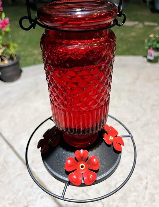FEED GARDEN Glass Hummingbird Feeder for Outdoors Hanging, 16 OZ Humming Bird Fe