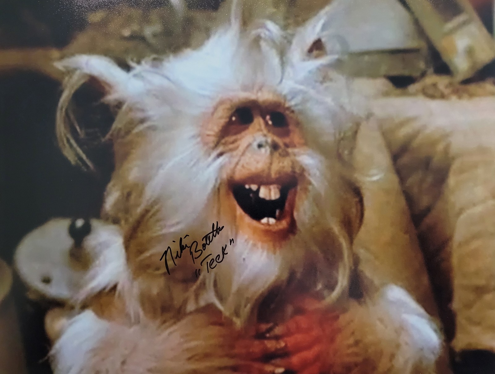 Niki Botelho signed 11x14 photo Teek Star Wars Battle for Endor