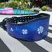 Custom Anime Lifting Belt