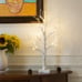 EAMBRITE Tabletop Tree Easter Decorations for Home, Mini Birch Tree with Lights