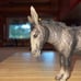 Breyer burro