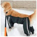 FouFou Dog Bodyguard Protective All-Weather Dog Snow Pants, Burgundy Red Small
