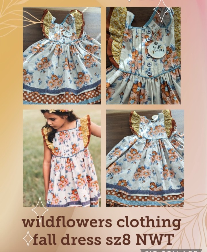 Wildflowers clothing fall dress nwt sz8