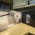 Taylor Swift Signed Vinyl