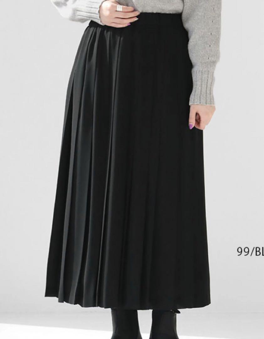 Mizuiro ind Wide Width Pleated Skirt, Black