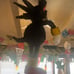 Piñata de Sony shadow